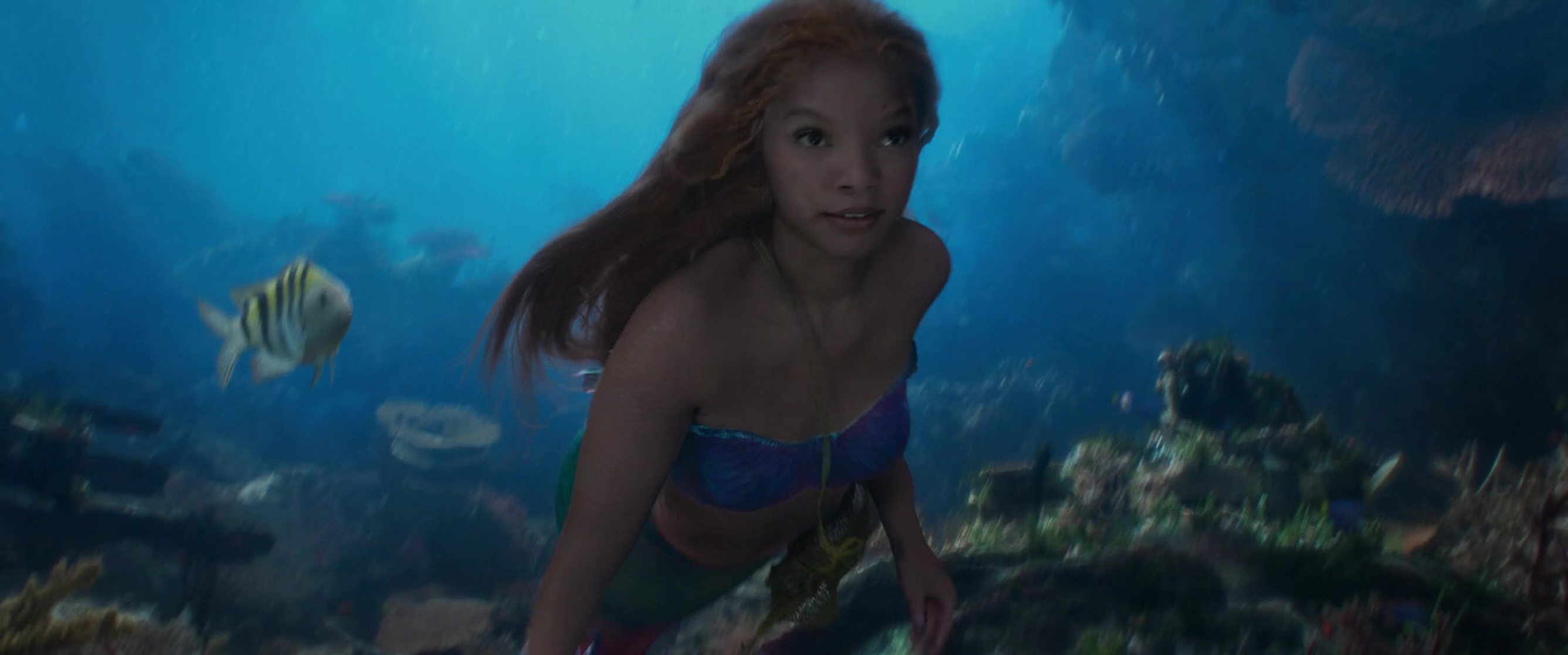 The Little Mermaid
