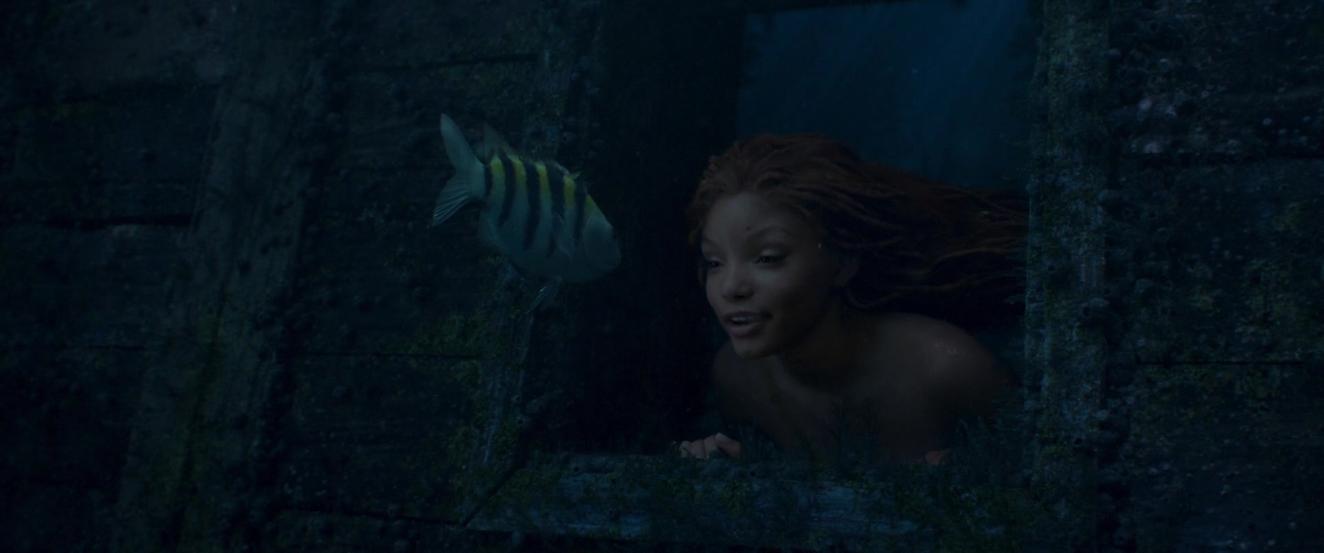 The Little Mermaid