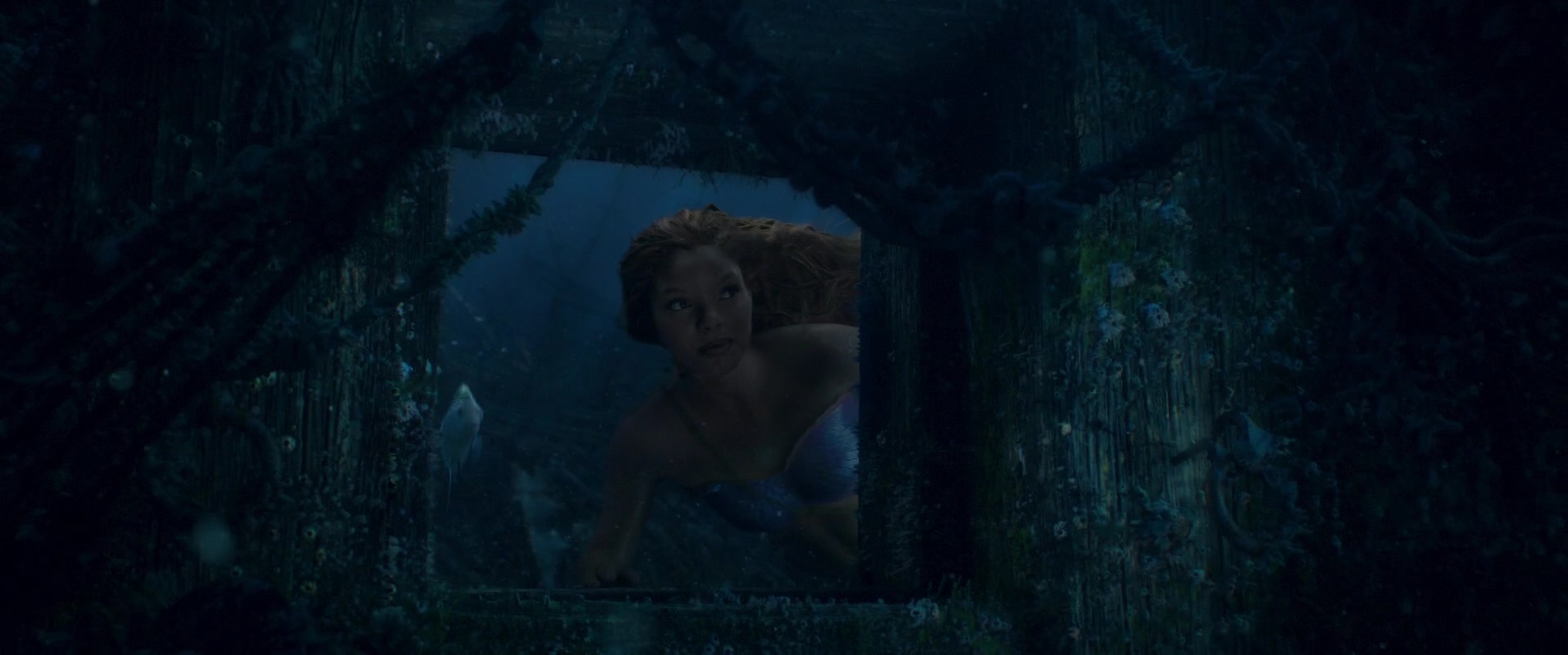 The Little Mermaid