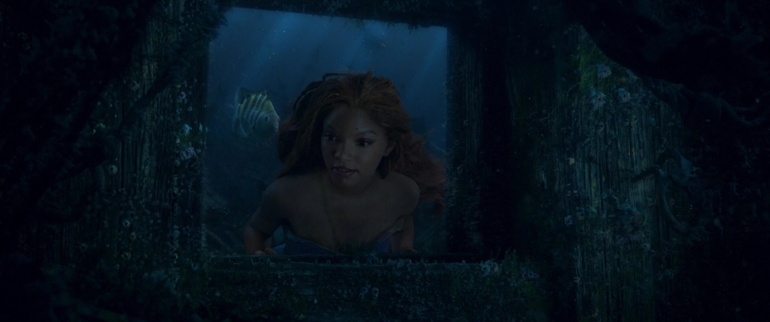 The Little Mermaid