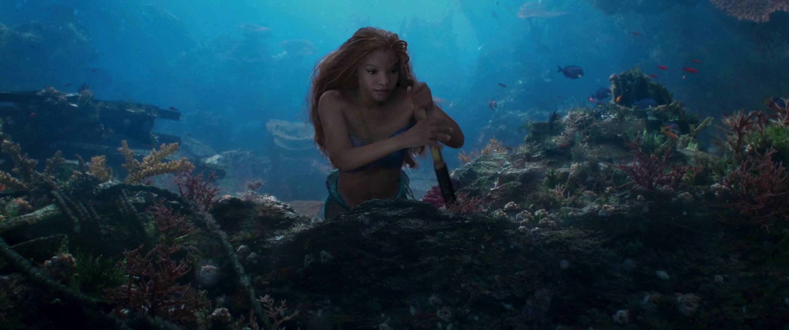 The Little Mermaid