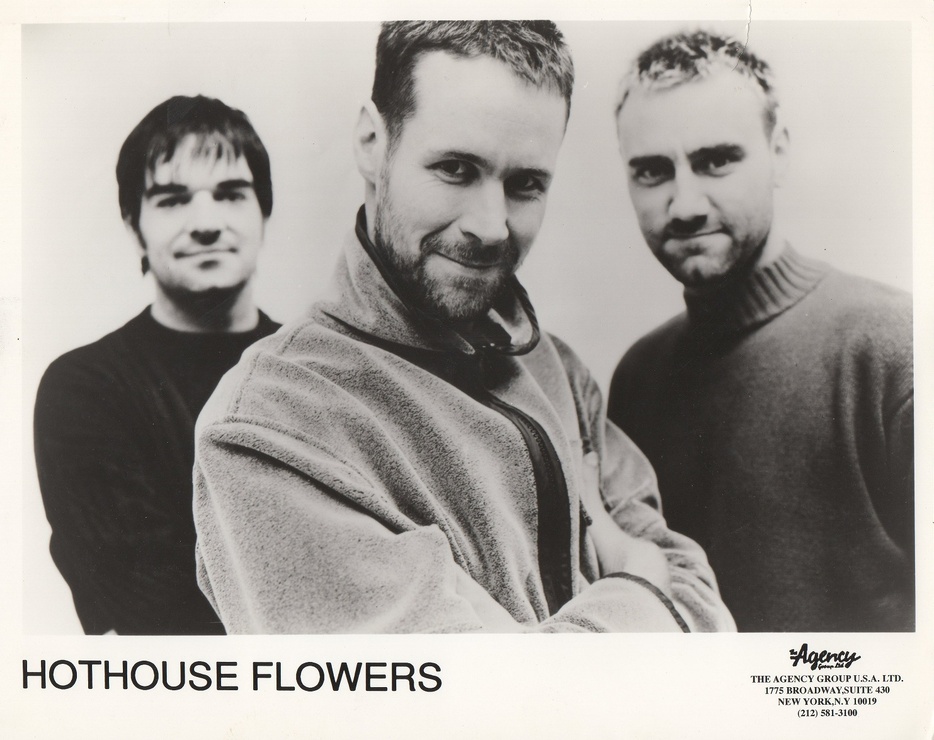 Picture of Hothouse Flowers