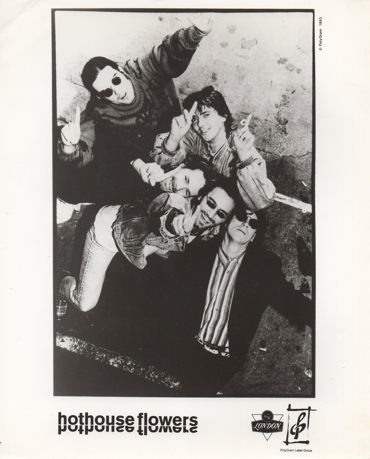 Picture of Hothouse Flowers