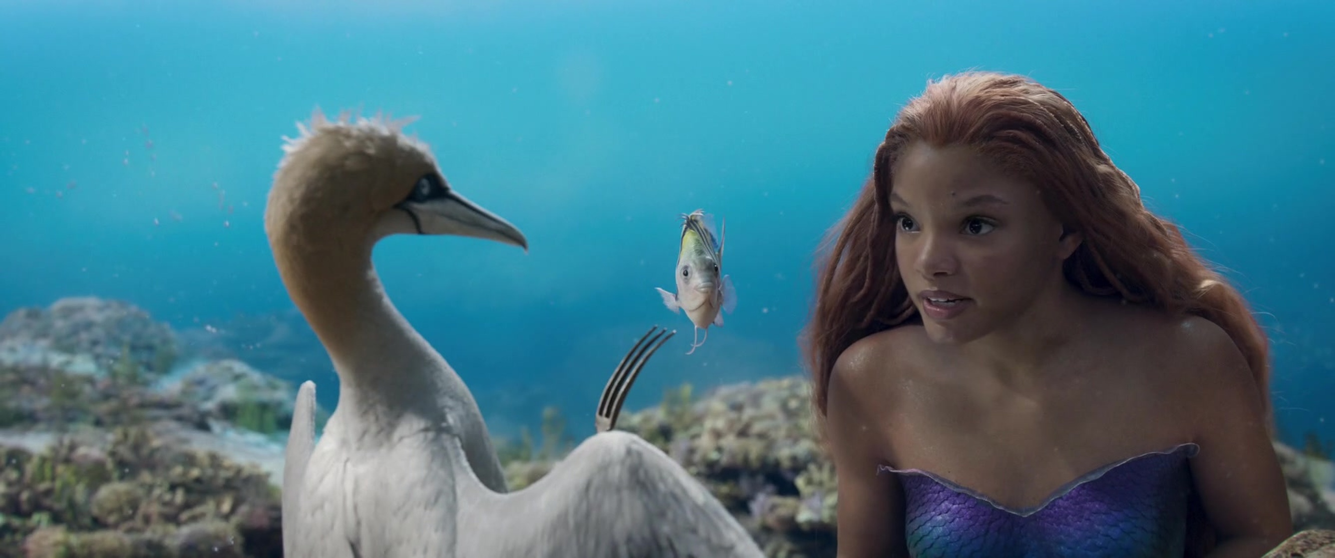 The Little Mermaid
