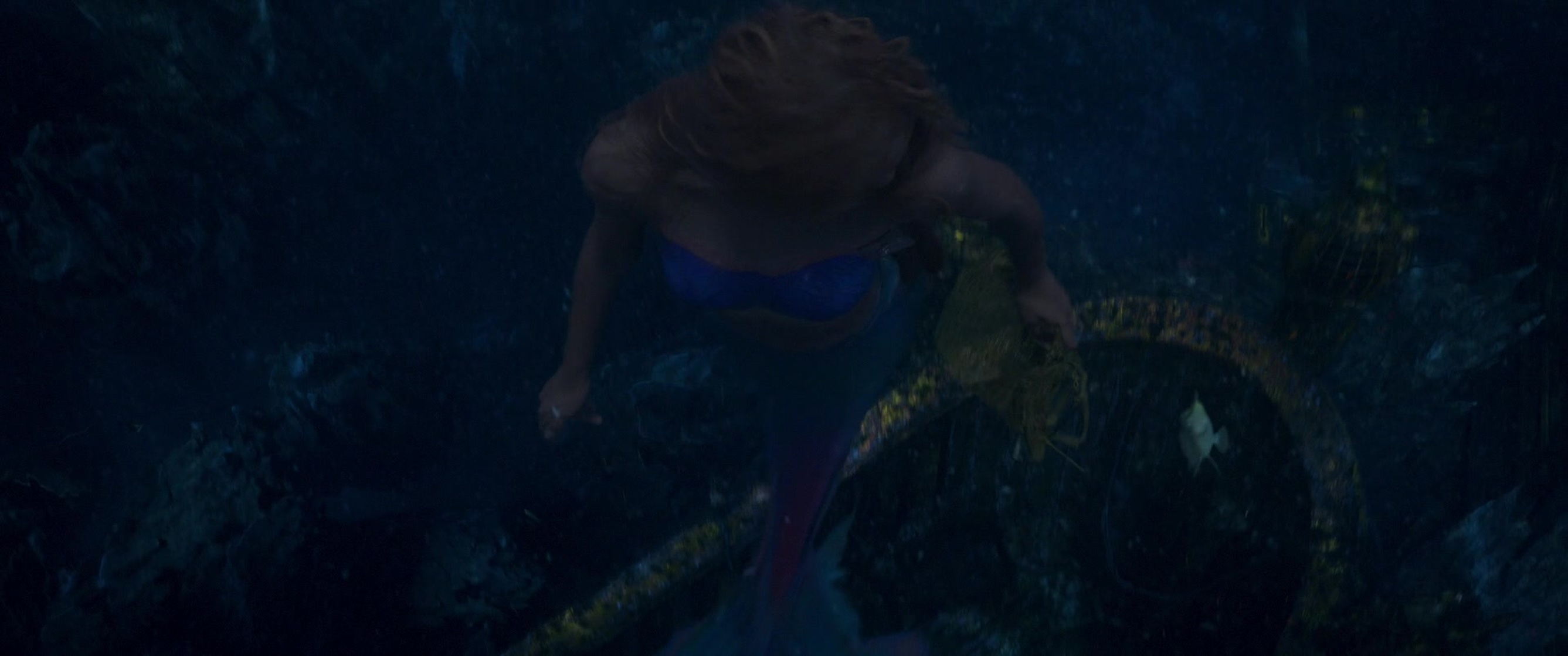 The Little Mermaid