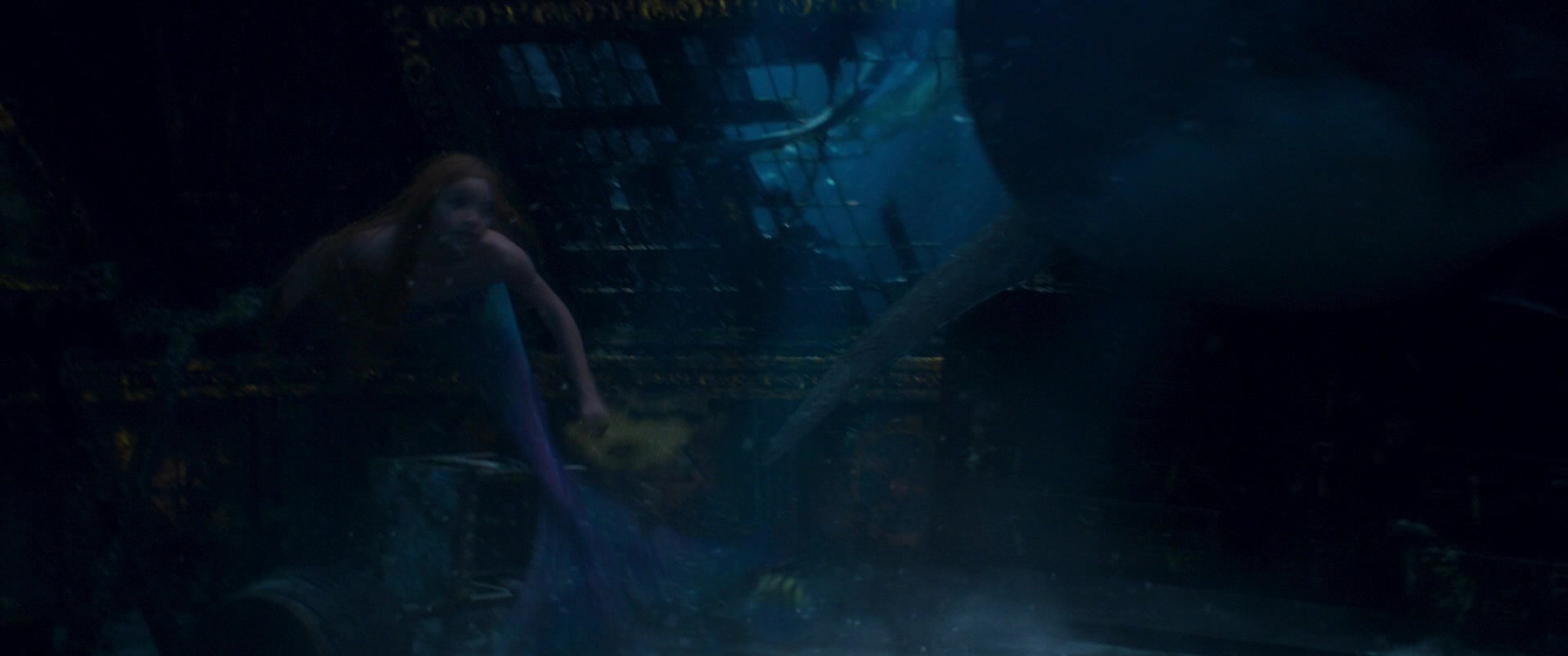 The Little Mermaid