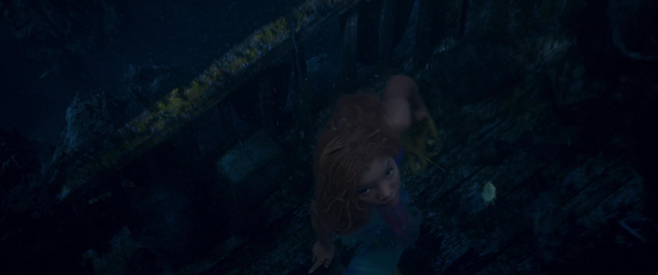 The Little Mermaid