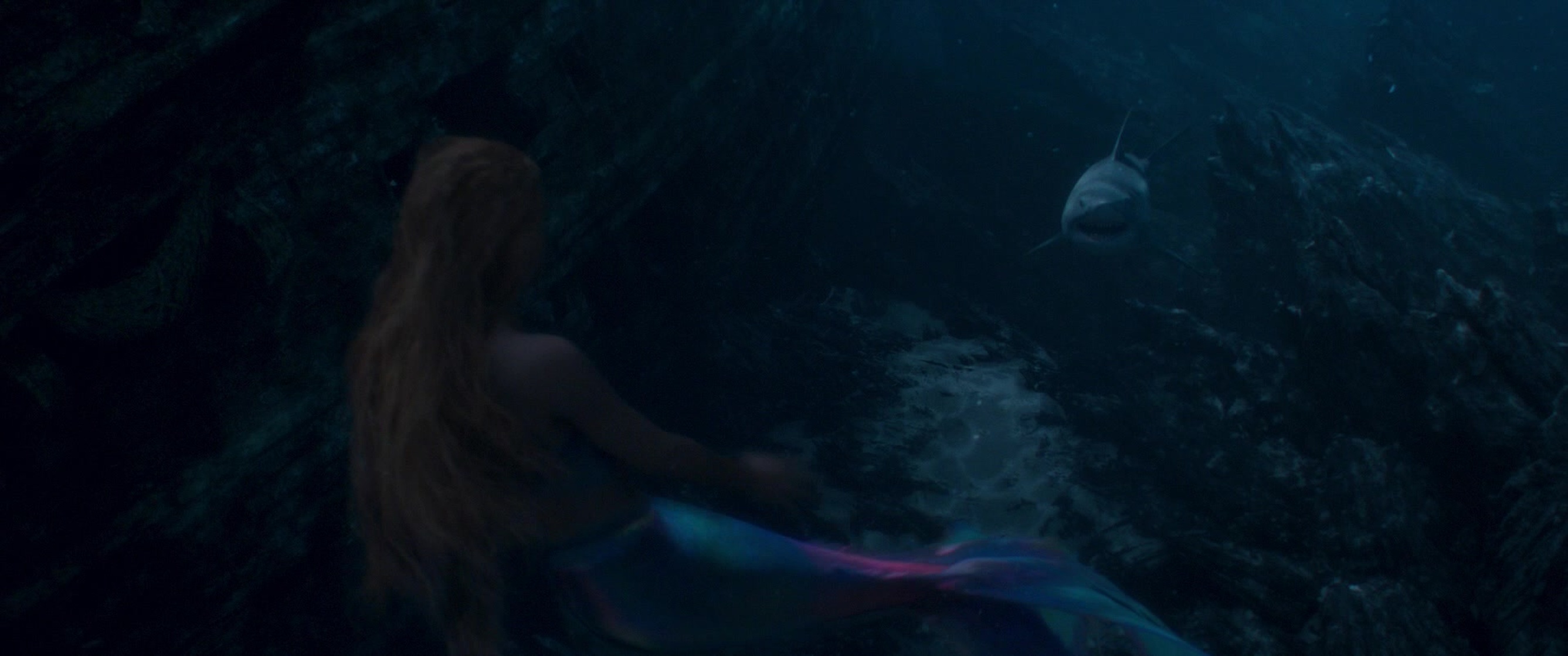 The Little Mermaid