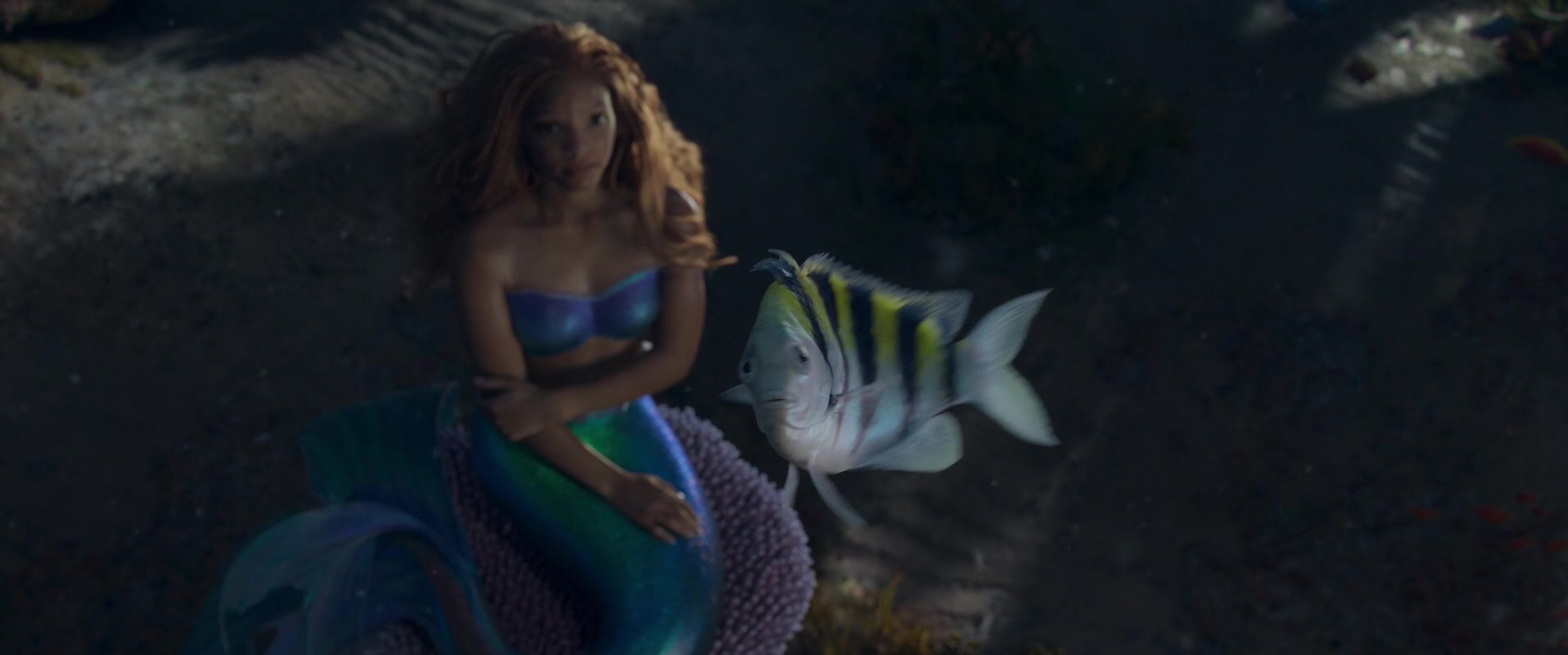 The Little Mermaid