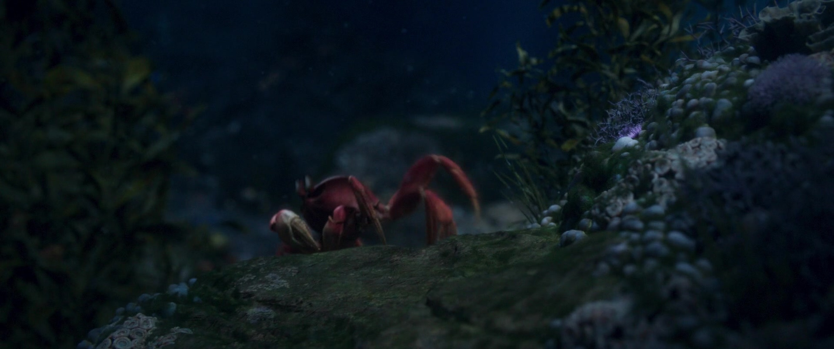 The Little Mermaid