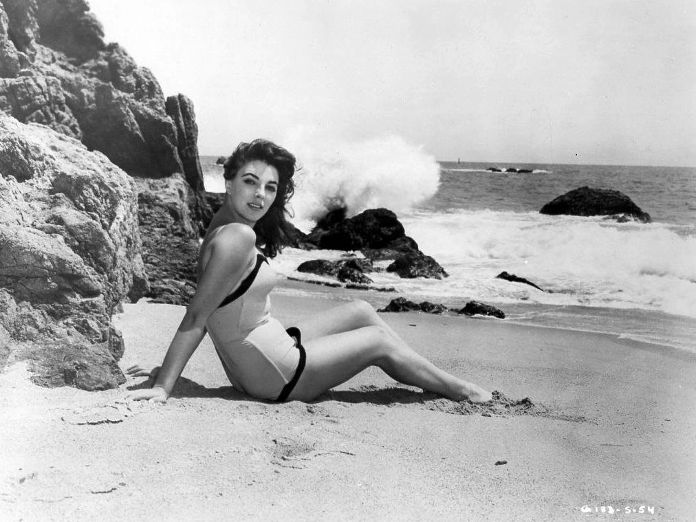 Joan Collins Joan Collins