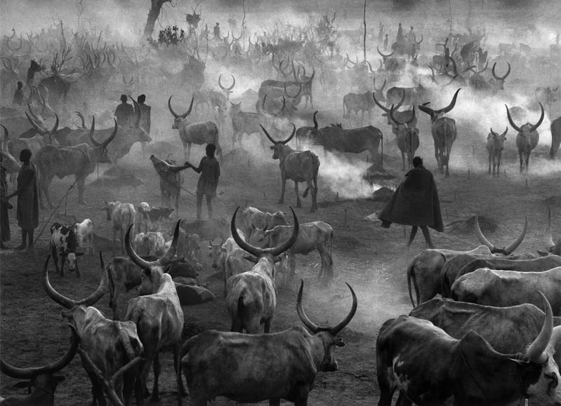 Amak Cattle Camp, Southern Sudan