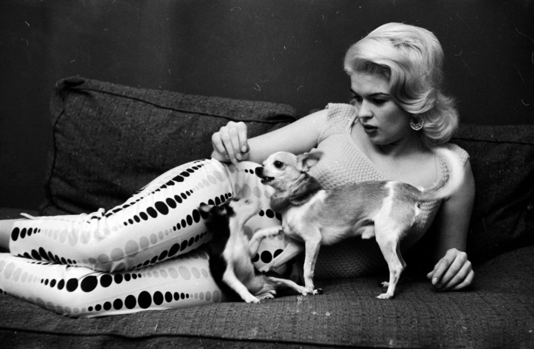 Jayne Mansfield Jayne Mansfield