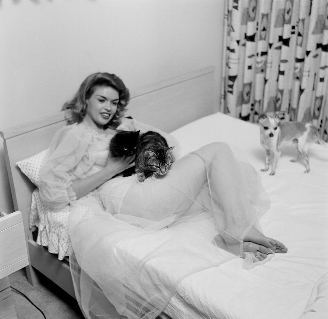 Jayne Mansfield Jayne Mansfield