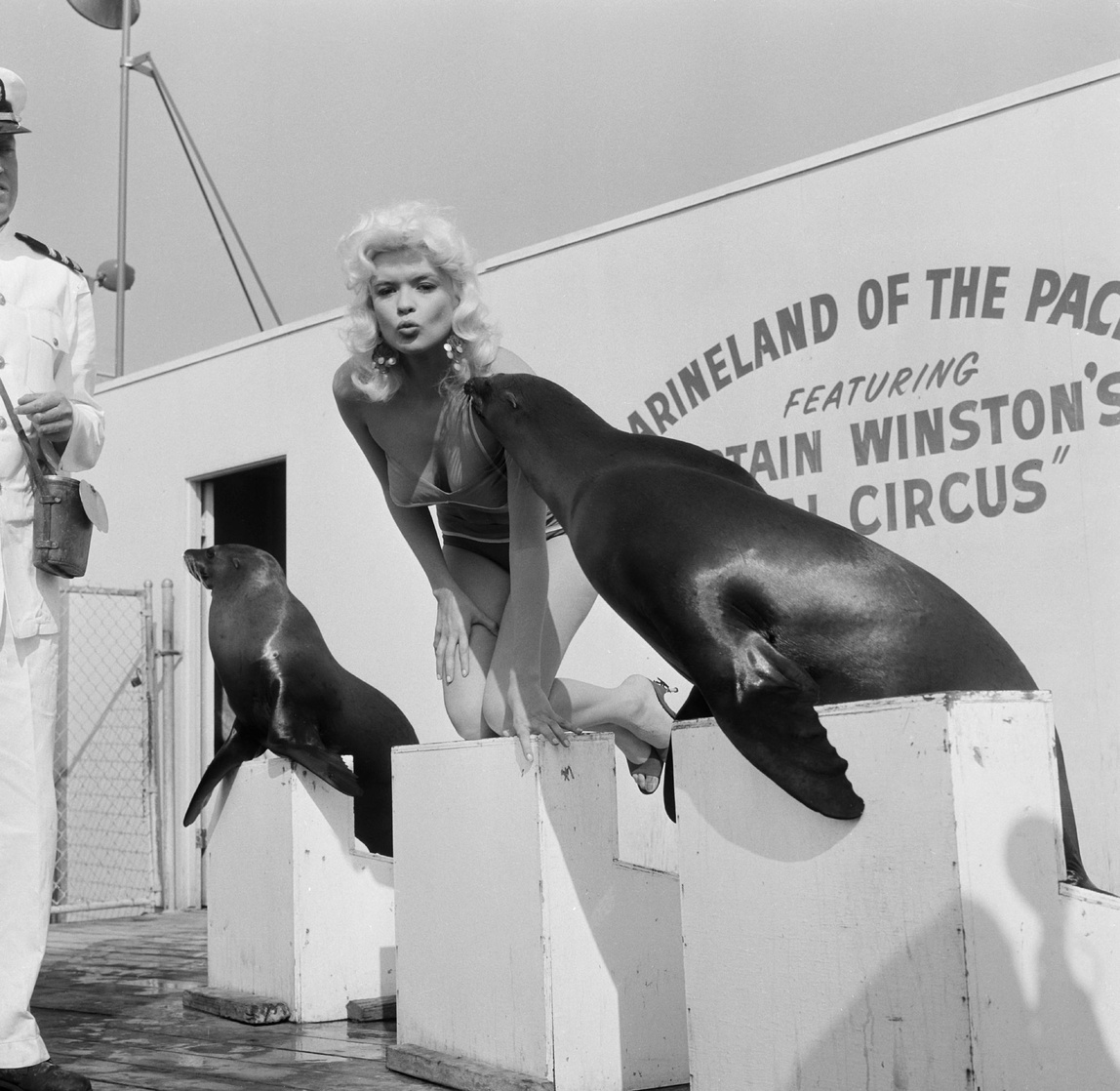 Jayne Mansfield