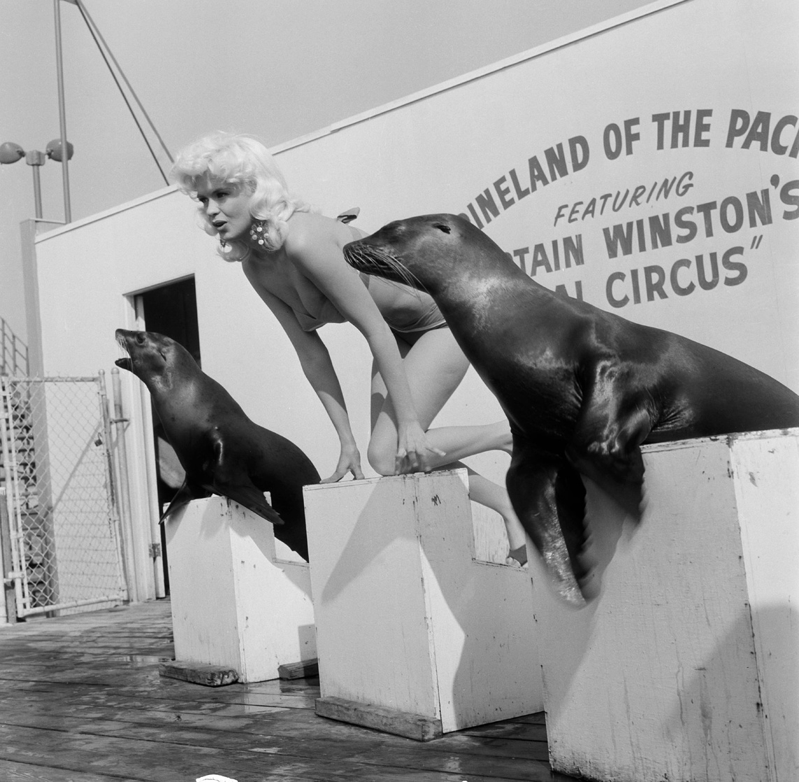 Jayne Mansfield Jayne Mansfield