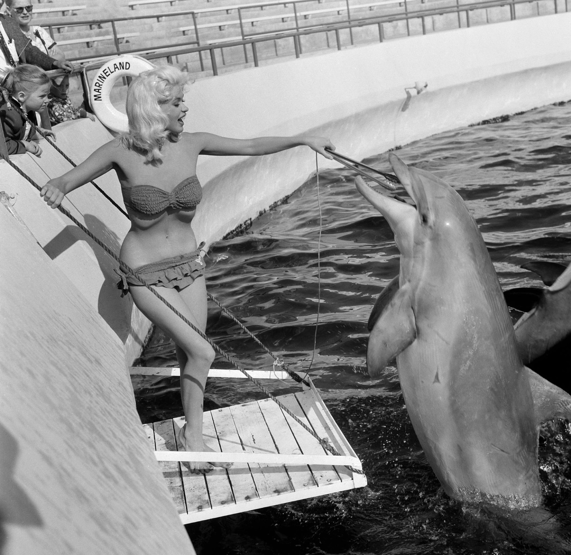 Jayne Mansfield