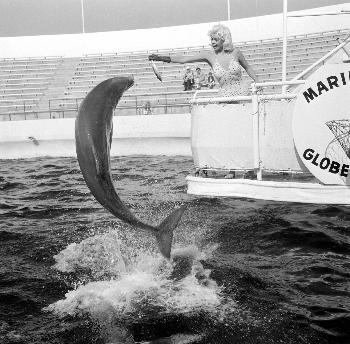 Jayne Mansfield