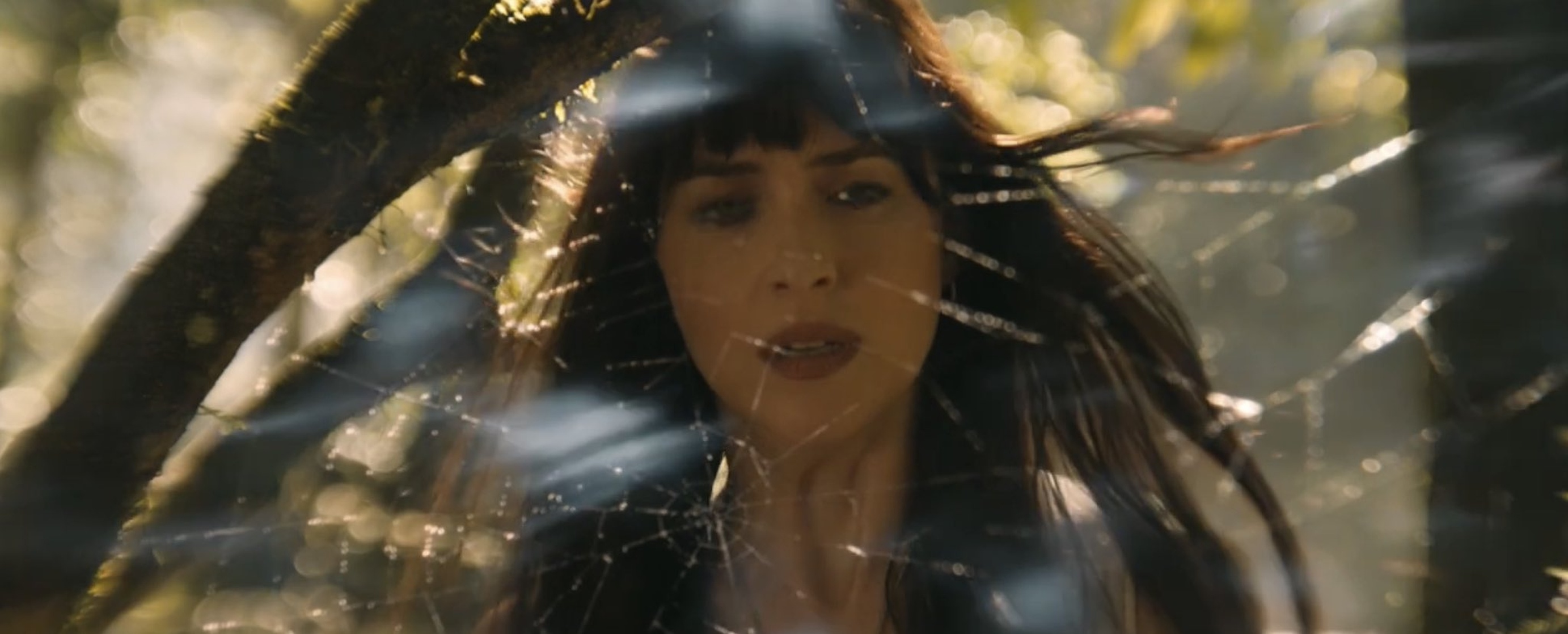 Dakota Johnson