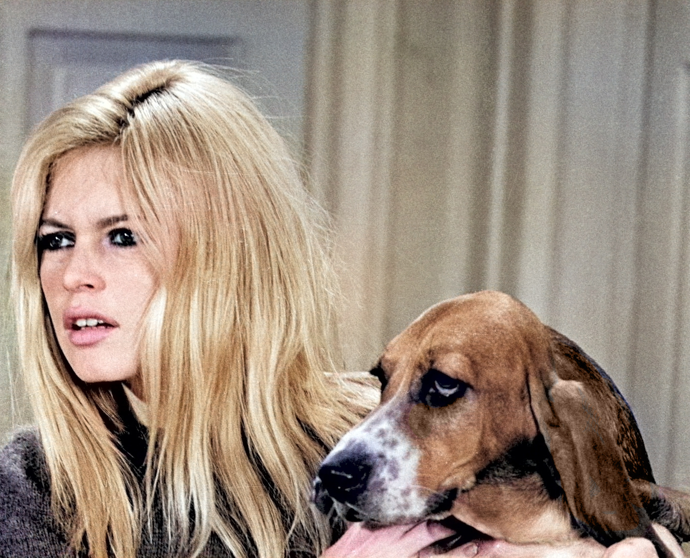 Brigitte Bardot