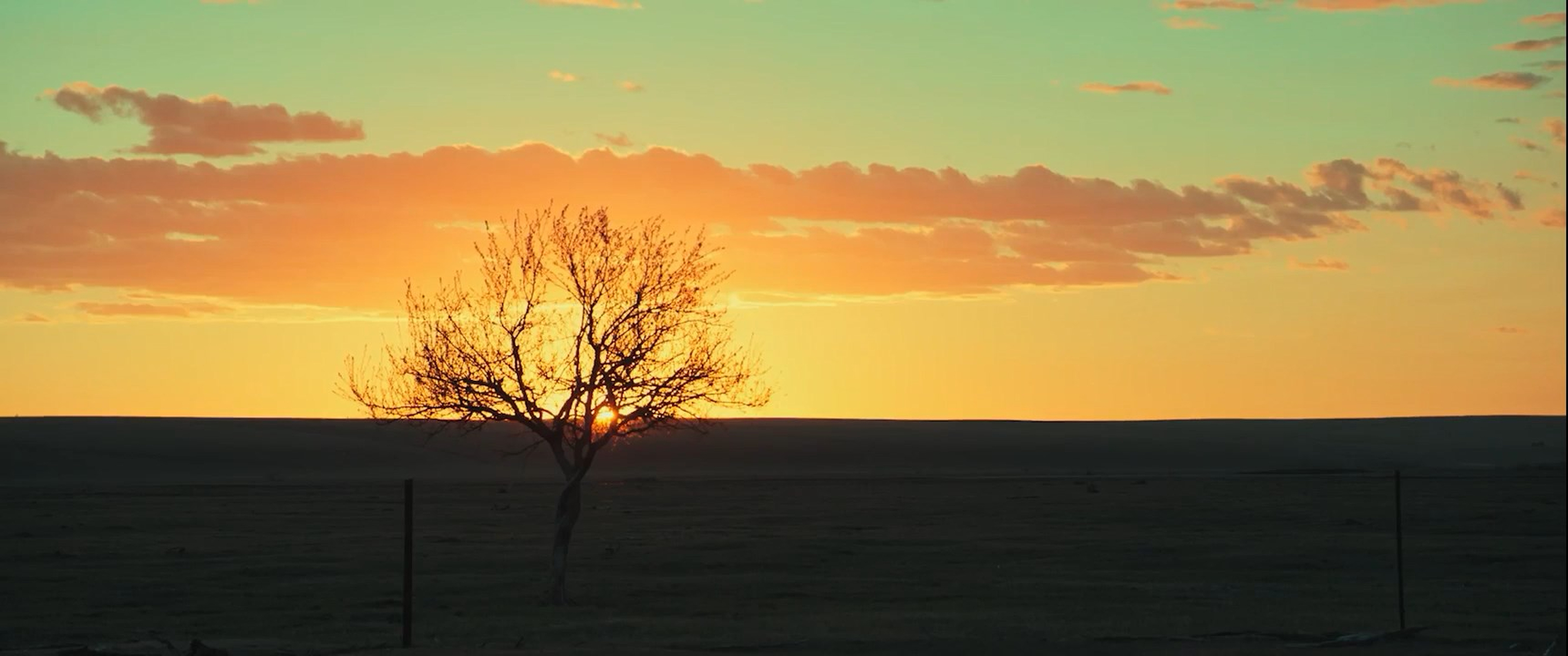 The Cord of Life