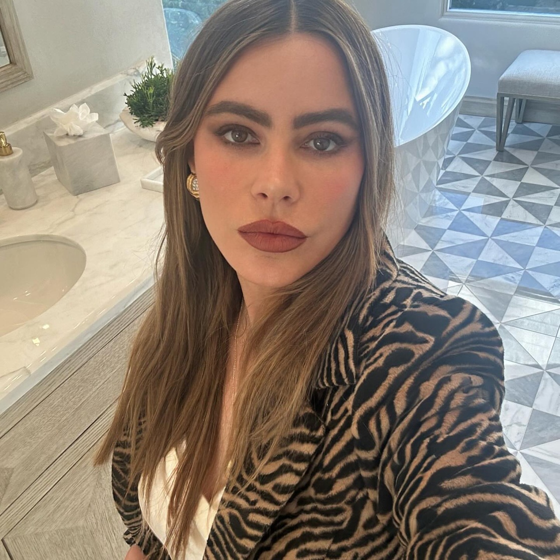Picture of Sofía Vergara