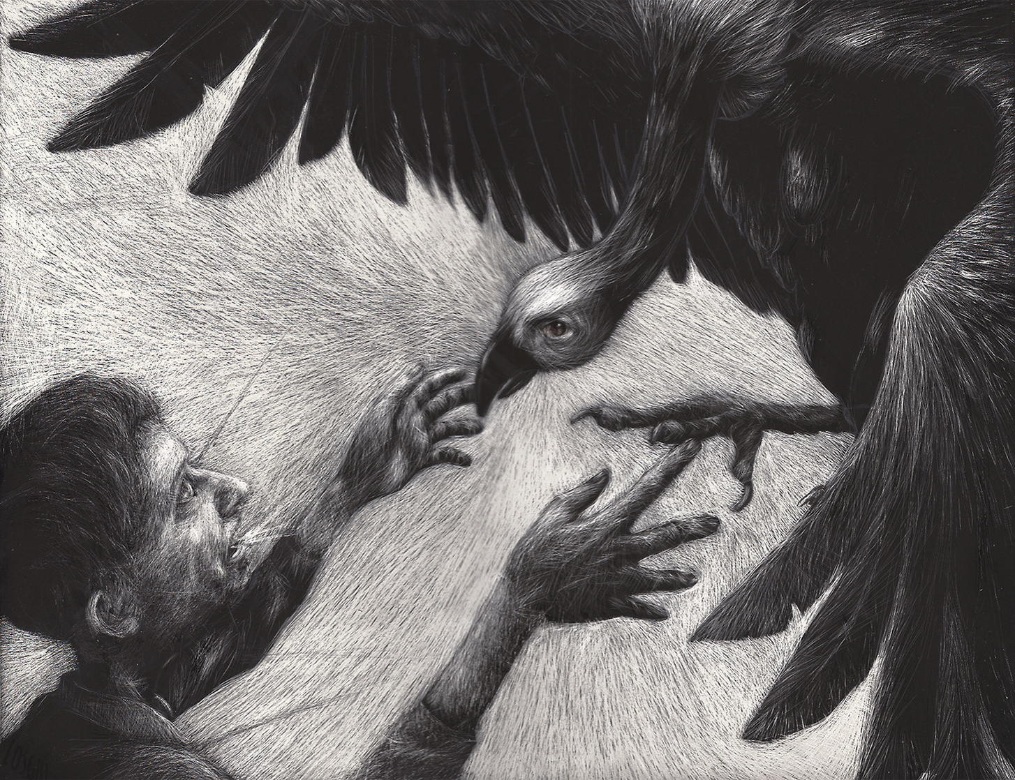 The Vulture