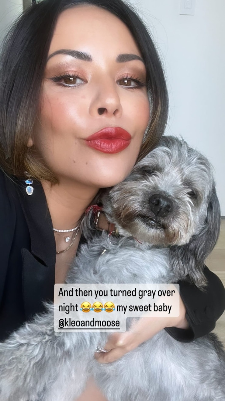 Picture of Janel Parrish