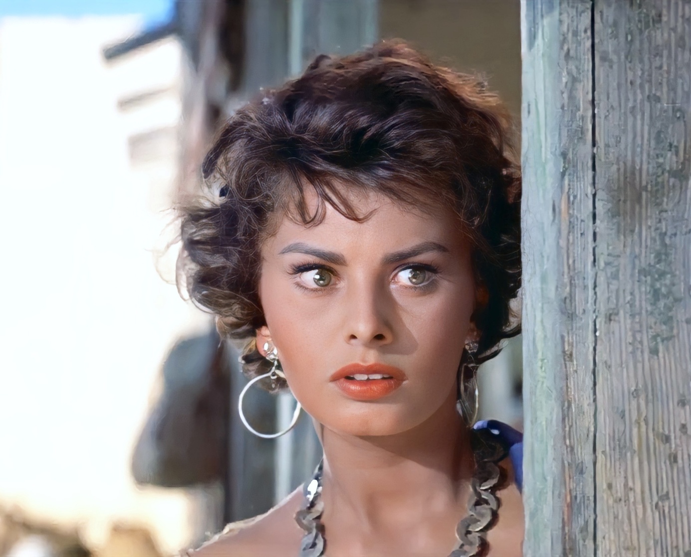 Sophia Loren Sophia Loren