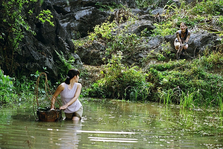 The Botanist's Daughters