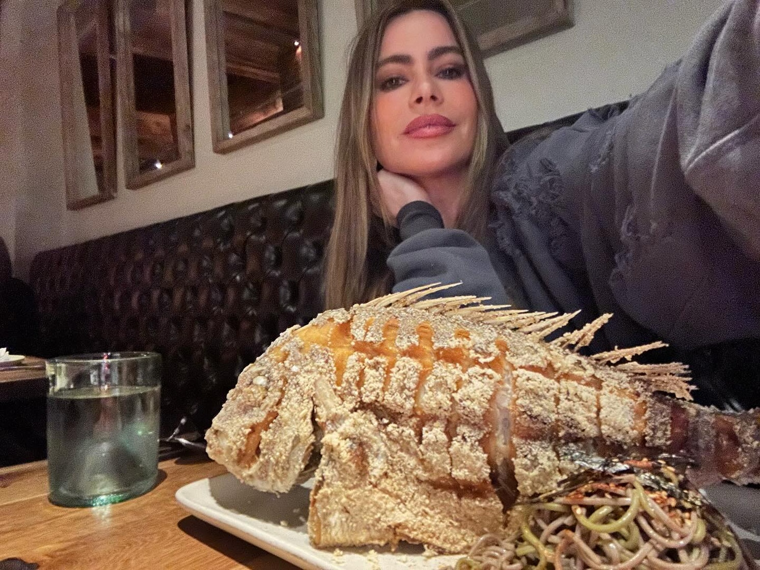 Sofía Vergara