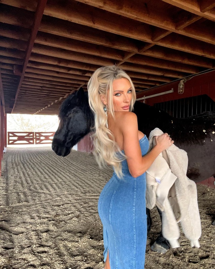 Holly Stocks Holly Stocks