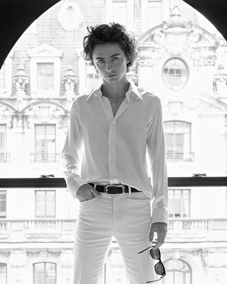 Picture of Timothée Chalamet