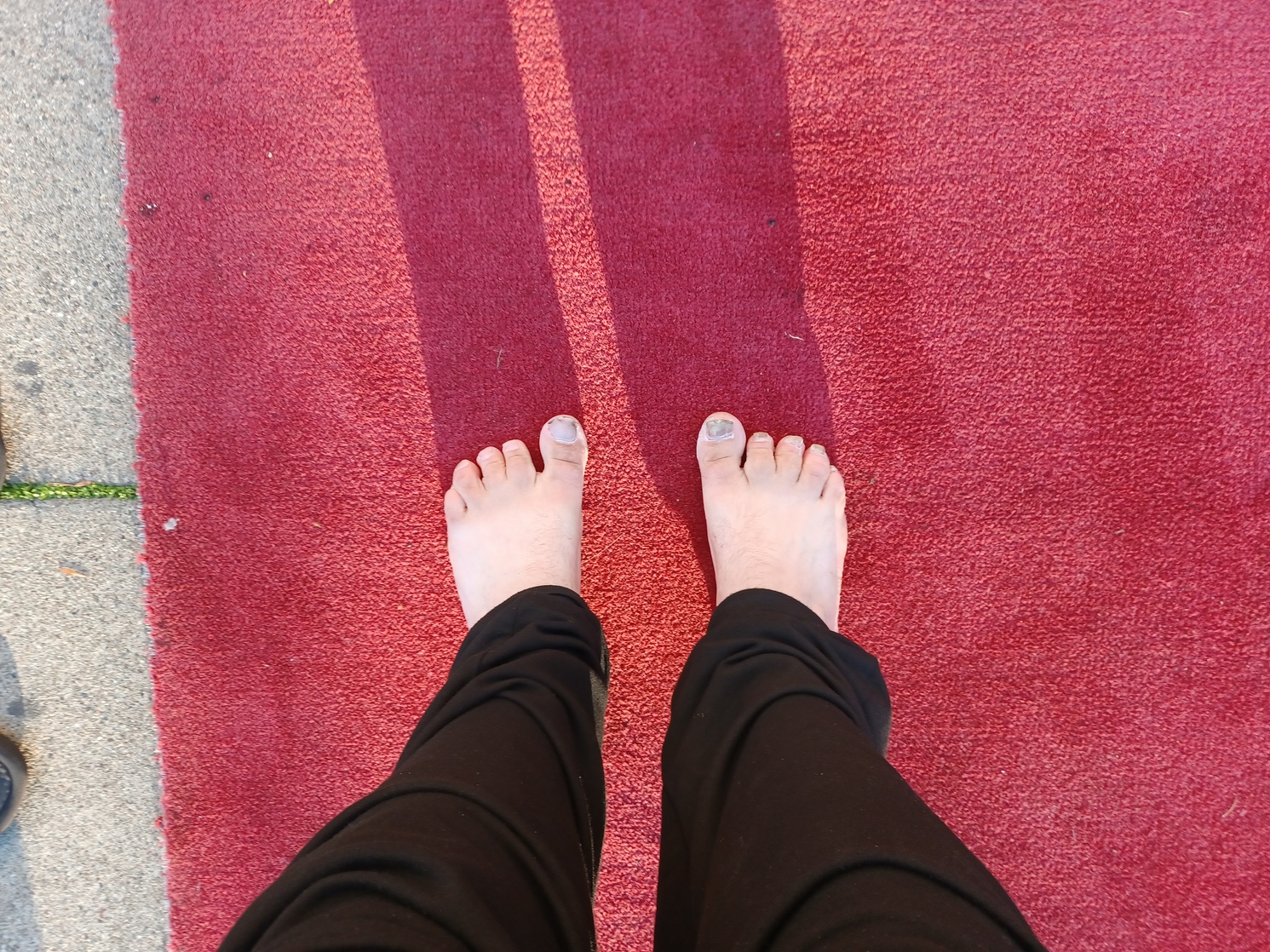 a-list-celebrity-red-carpet-photos