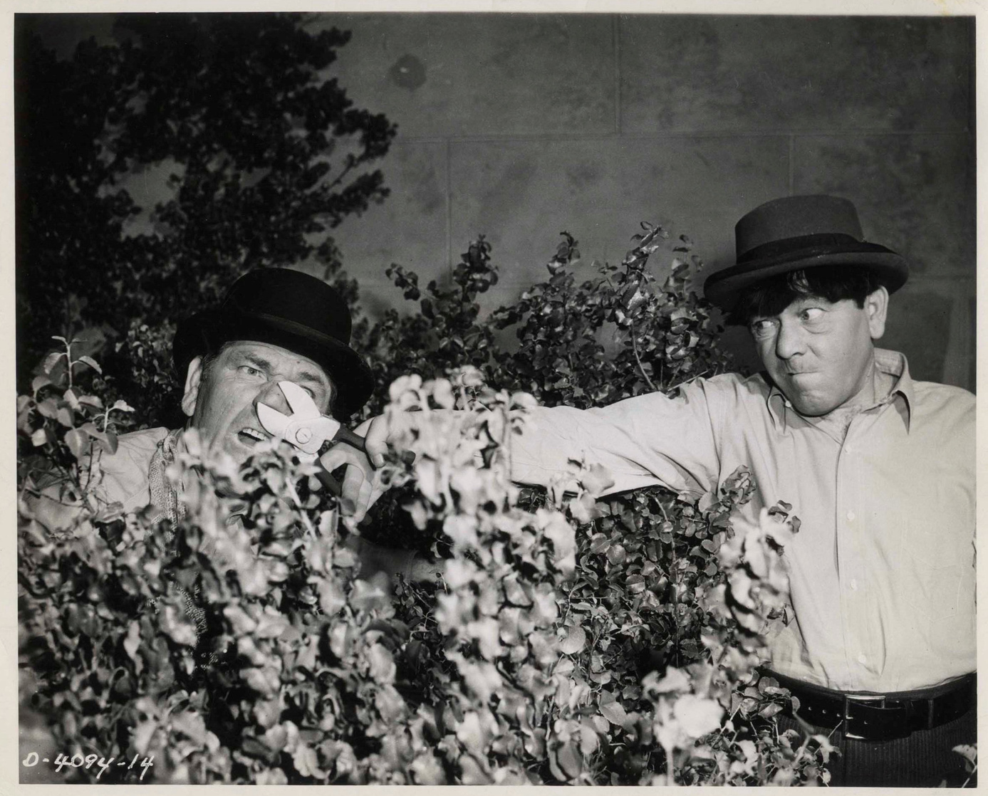 Shemp Howard, Moe Howard