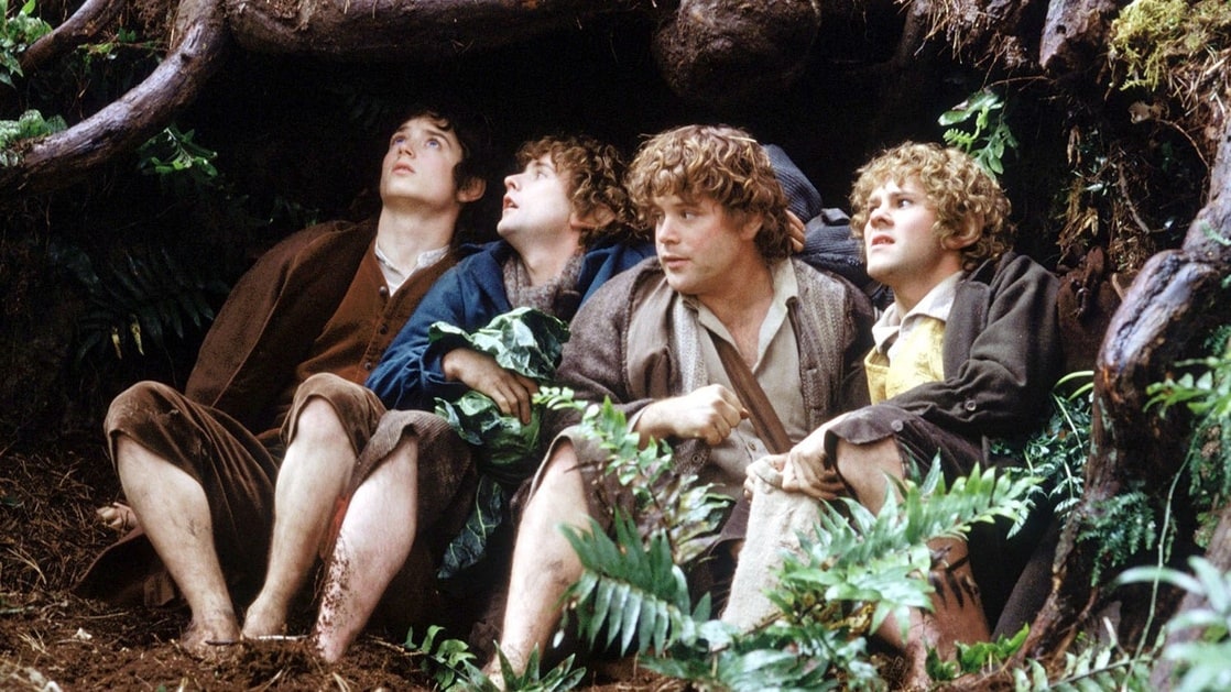 The Lord of the Rings: The Fellowship of the Ring