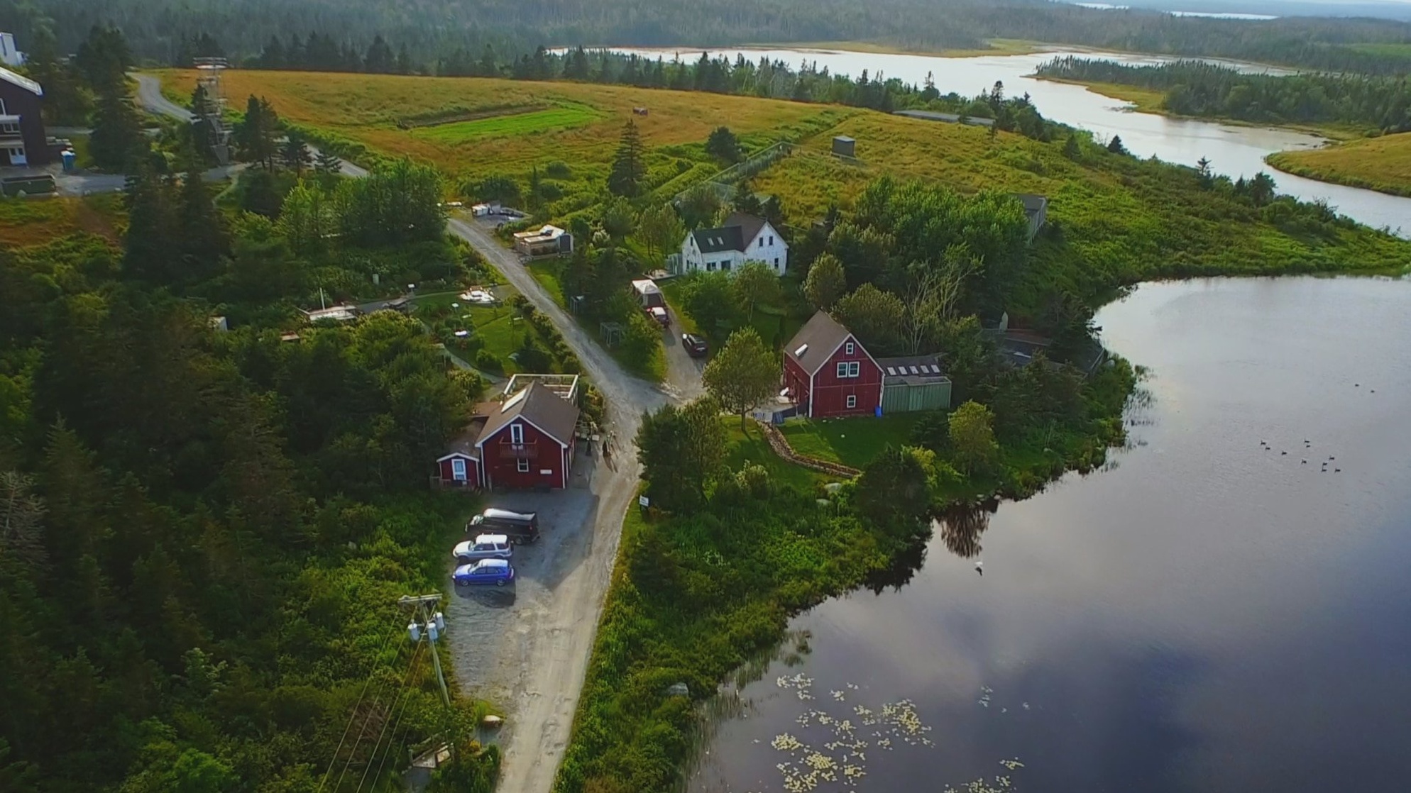 Picture of Hope for Wildlife