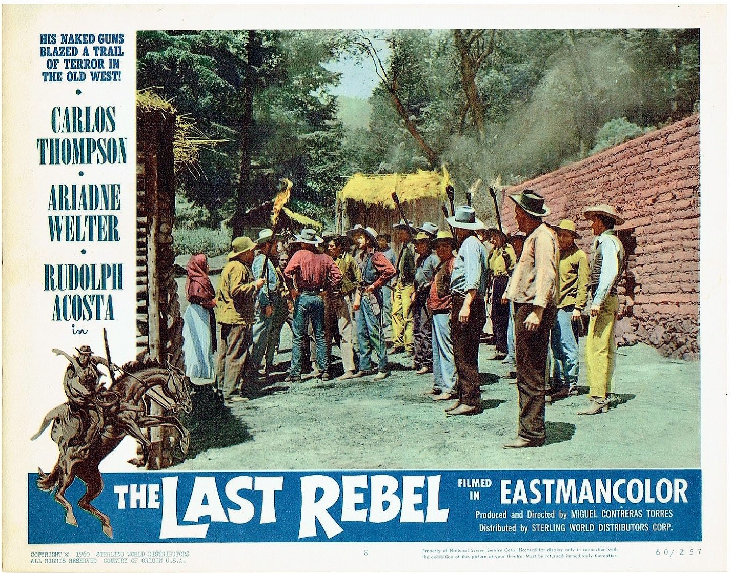 The Last Rebel