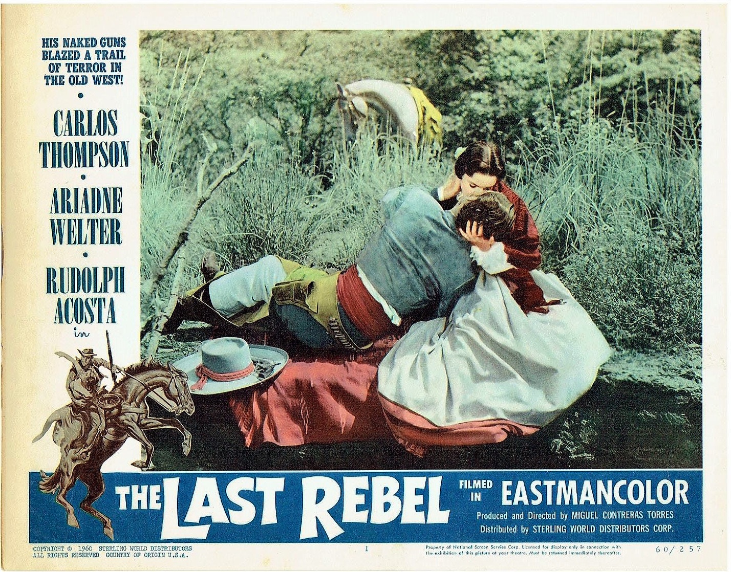 The Last Rebel