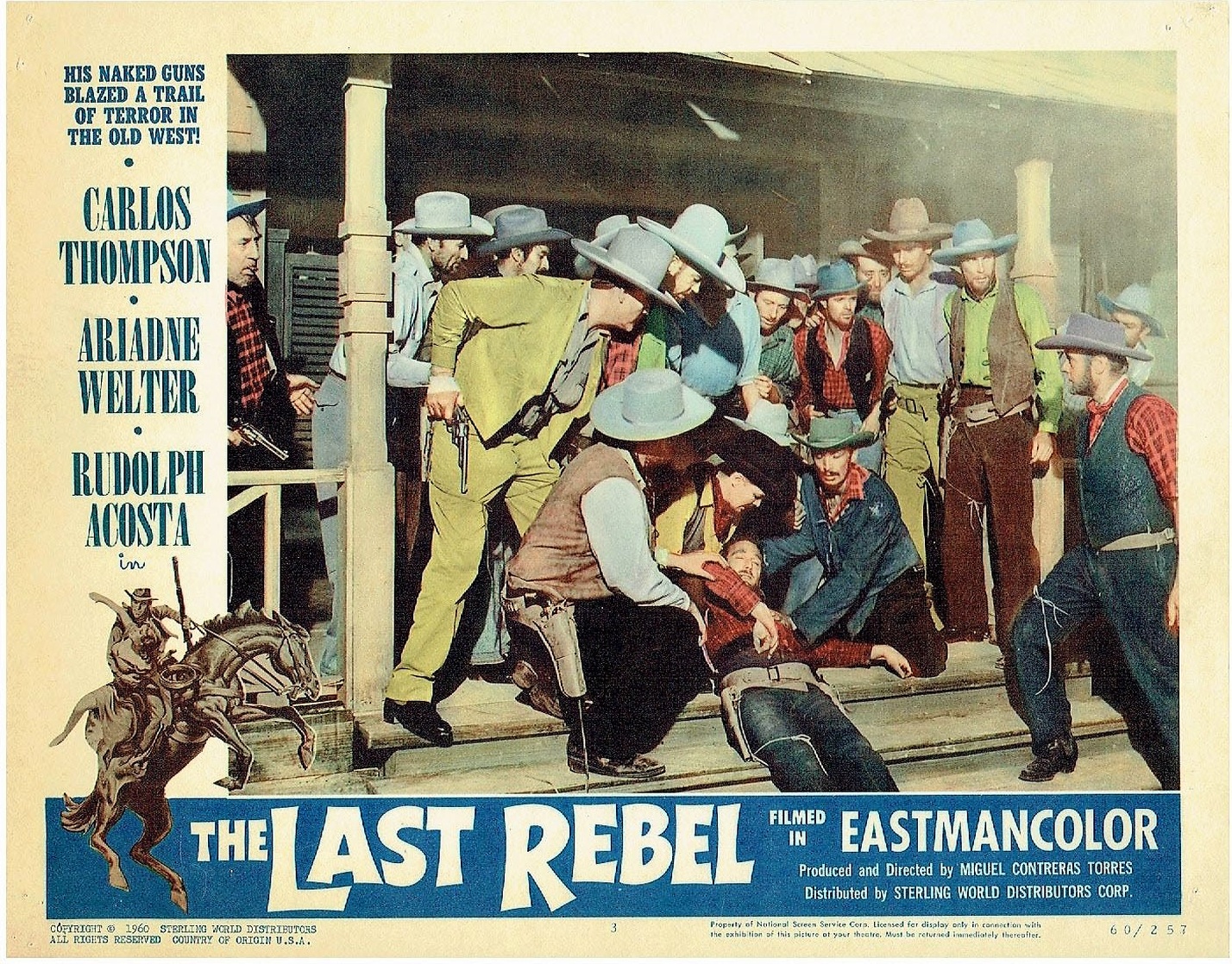 The Last Rebel