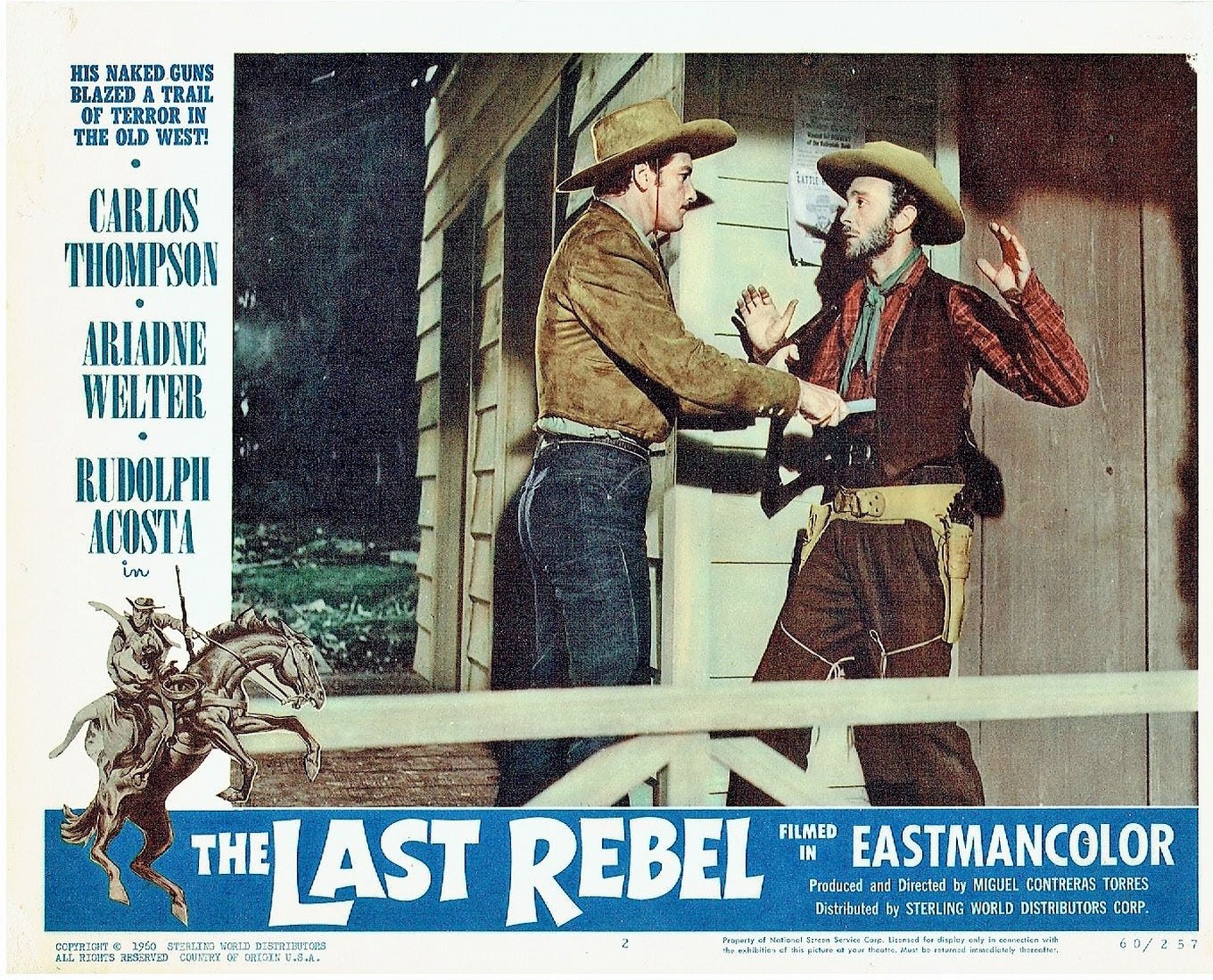 The Last Rebel