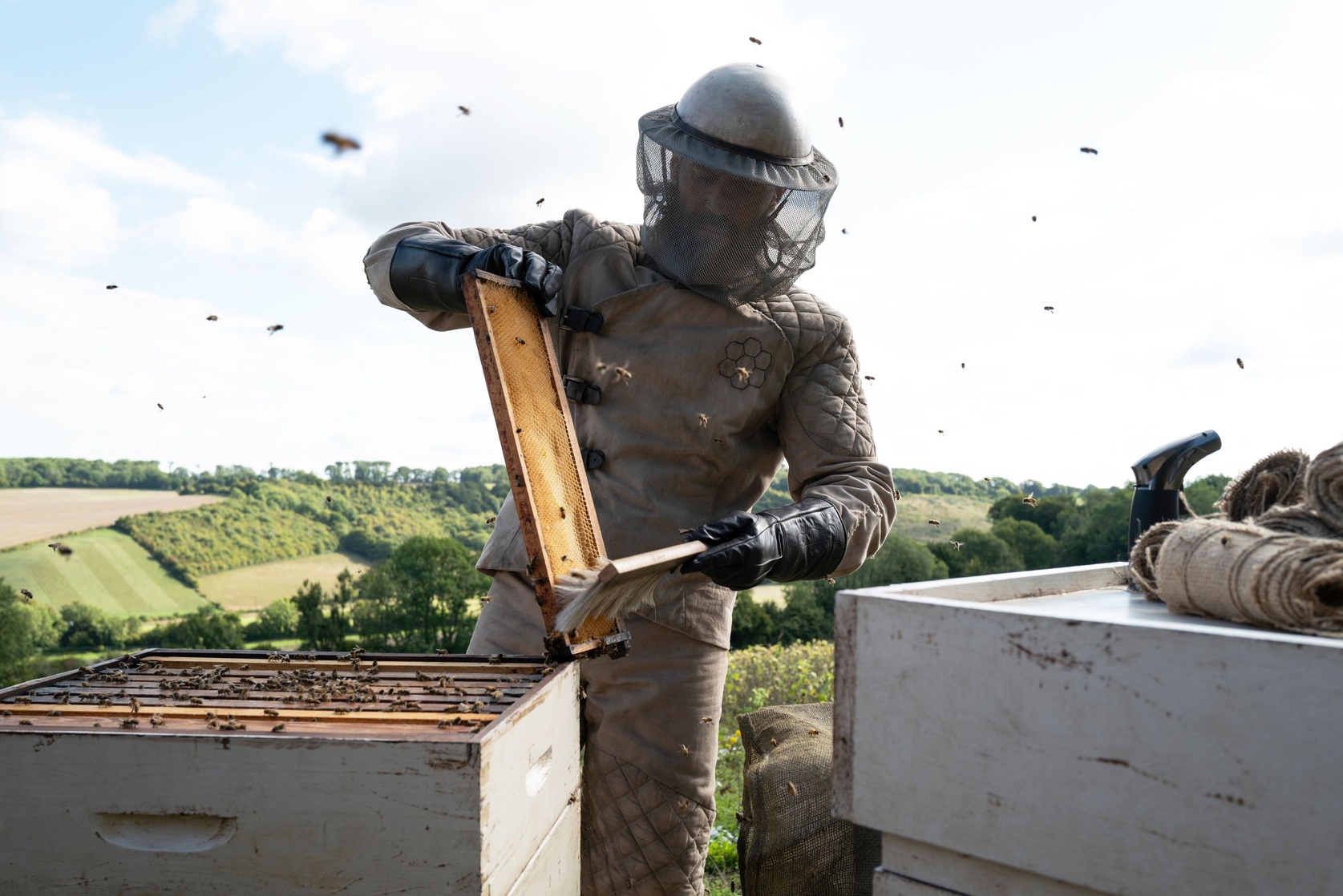 The Beekeeper