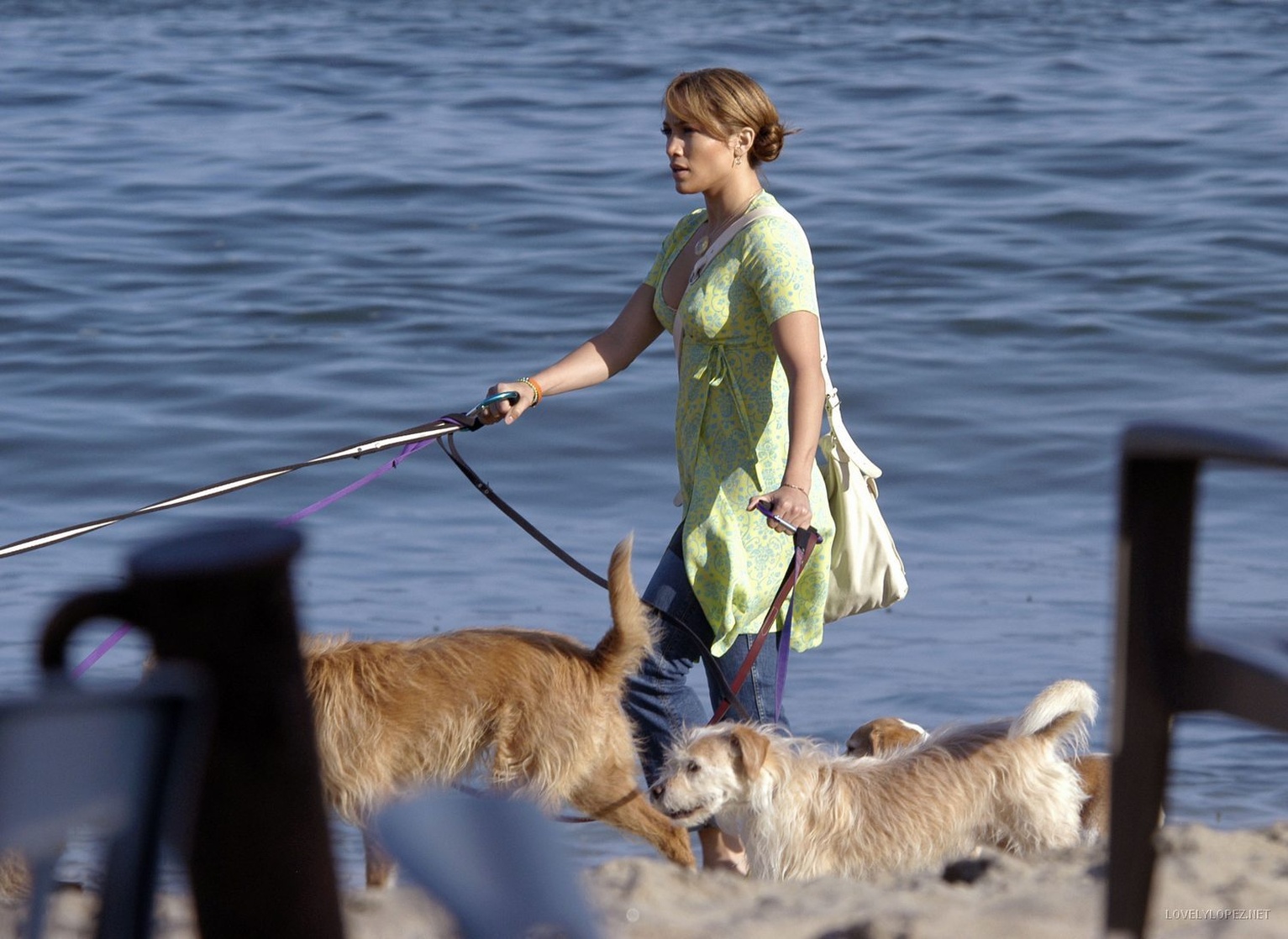 Monster-in-Law