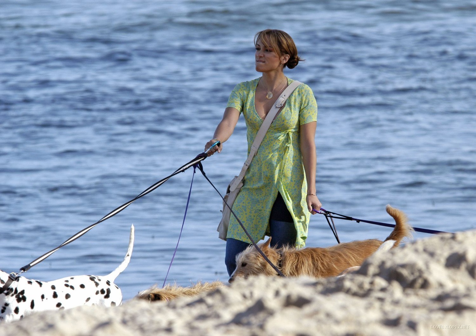 Monster-in-Law