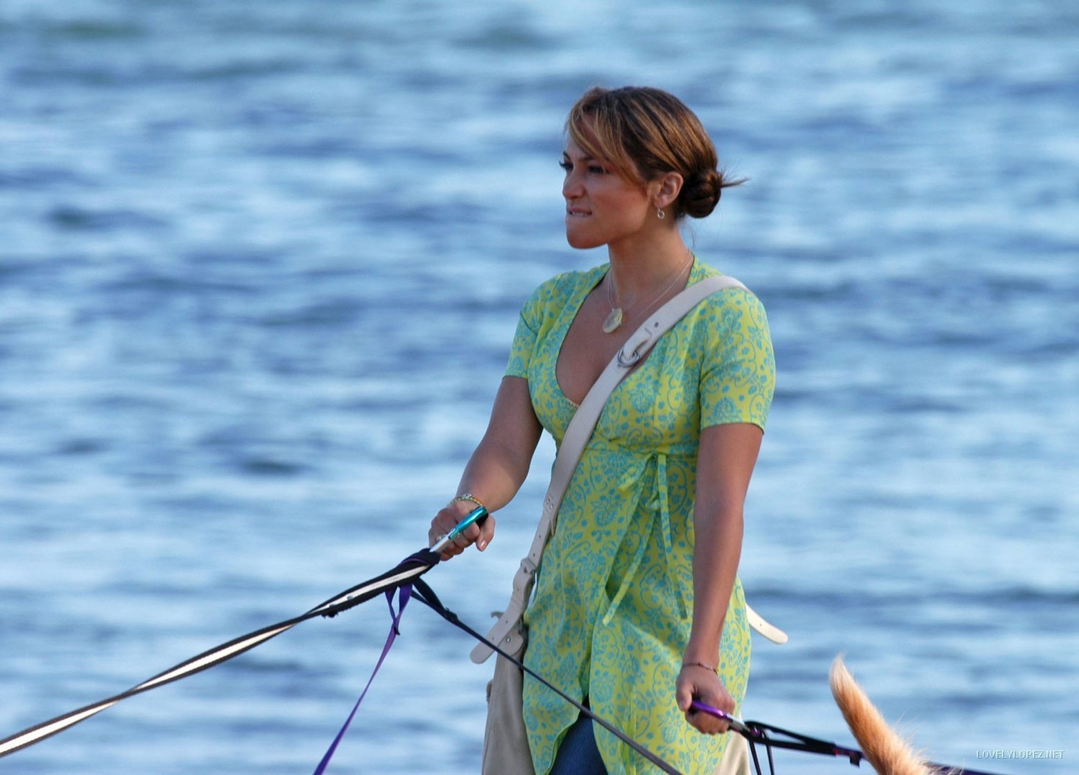Monster-in-Law