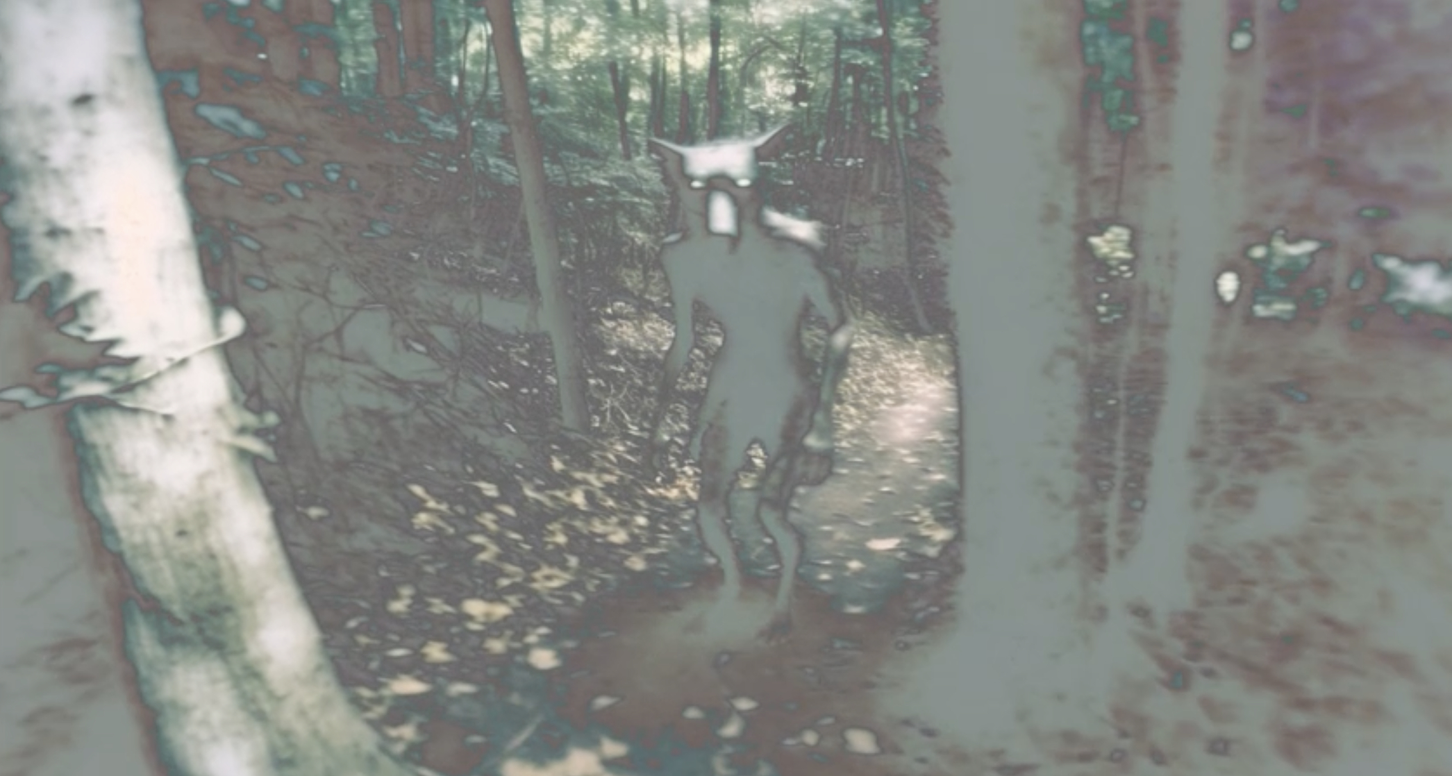 The Dogman Triangle: Werewolves in the Lone Star State