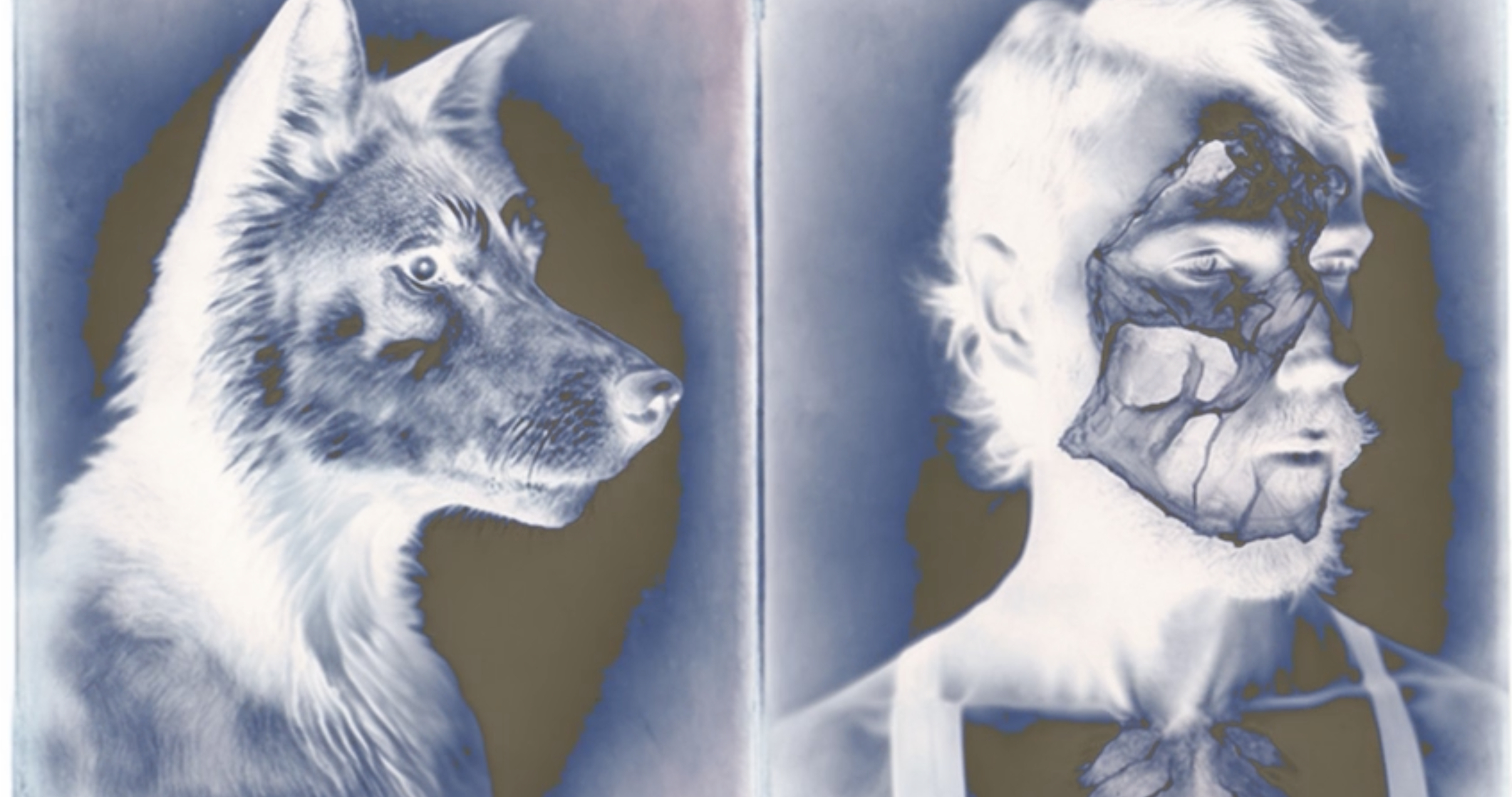 The Dogman Triangle: Werewolves in the Lone Star State