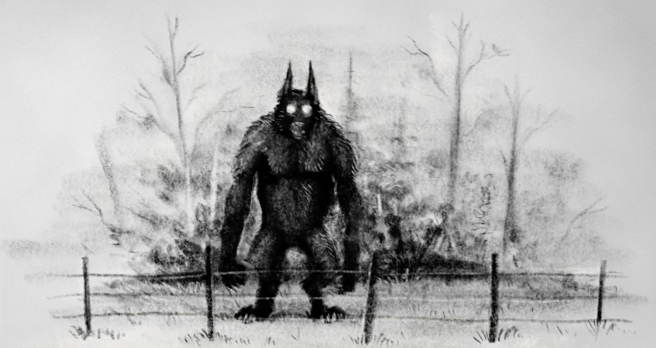 The Dogman Triangle: Werewolves in the Lone Star State