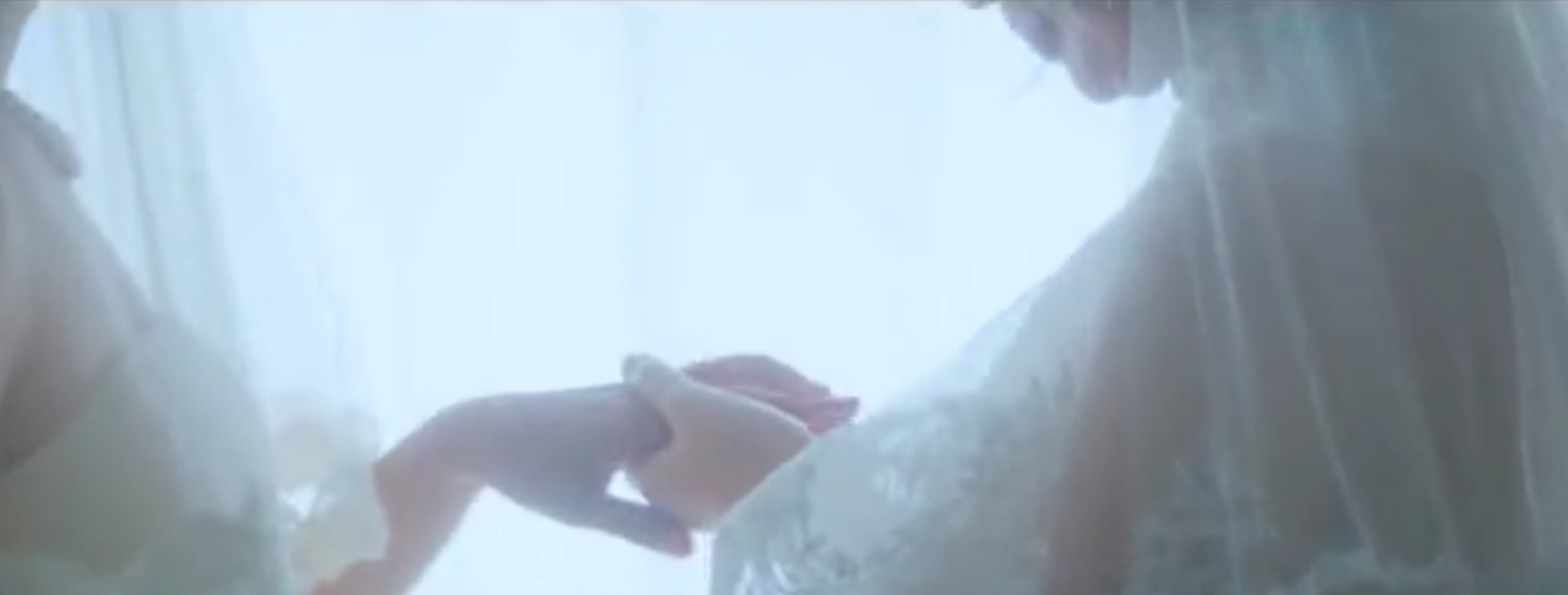 Veils Veils