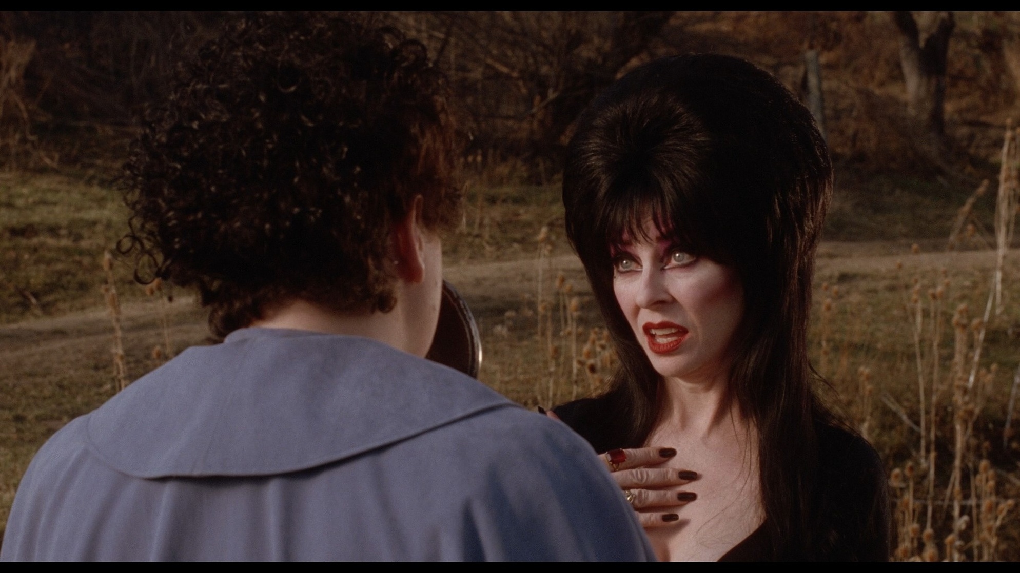 Elvira's Haunted Hills